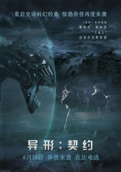 学信网学位证书编号怎么查